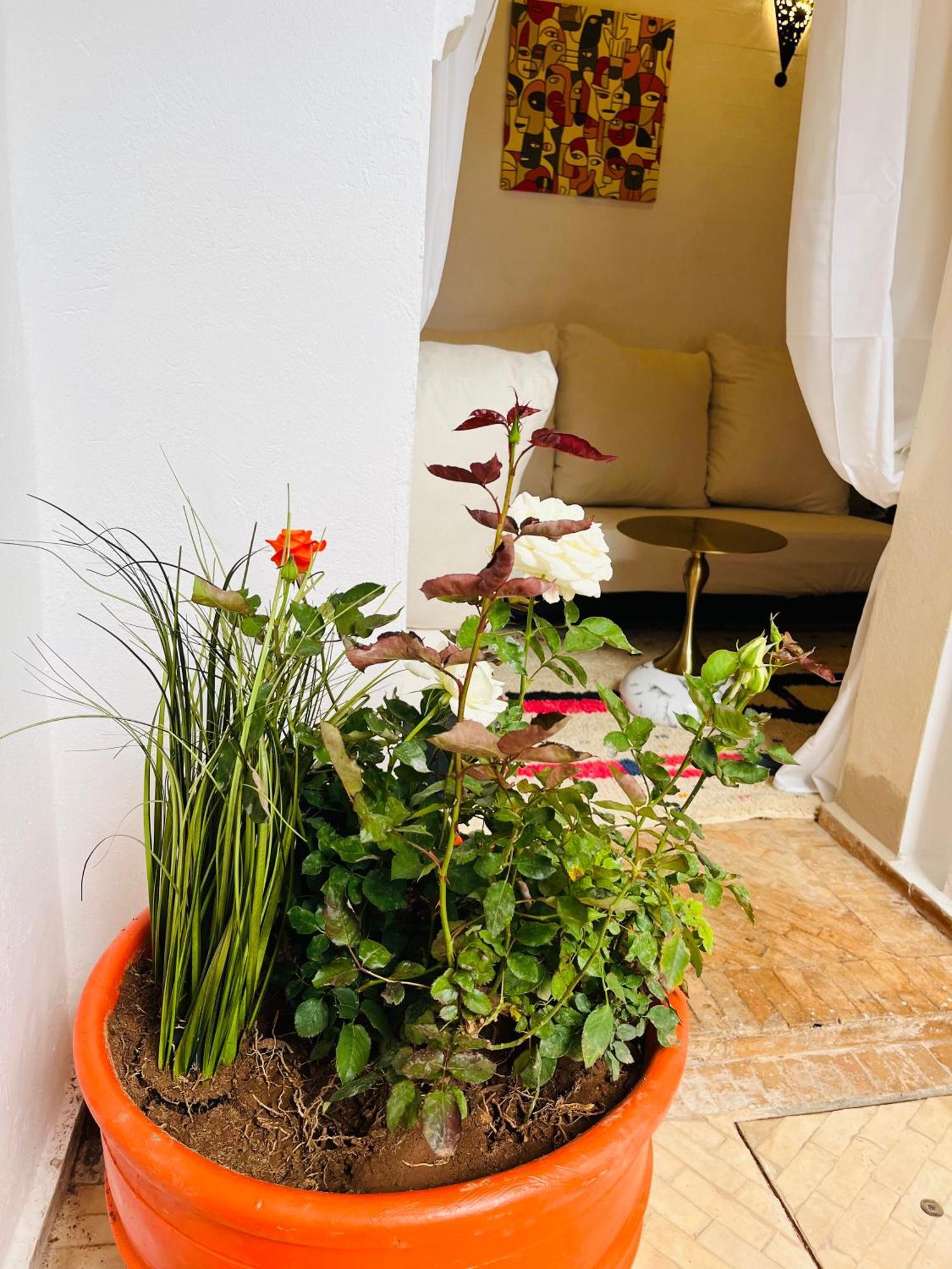 Riad Darna 4 Chambres Avec Piscine Et Petit Dejeuner Marakeş Dış mekan fotoğraf
